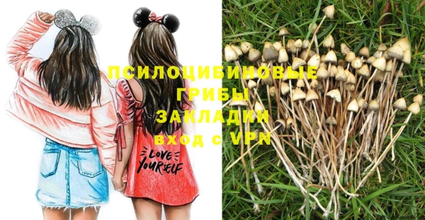 дмт Балабаново